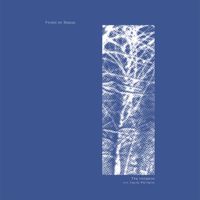 Forest On Stasys - the initiation