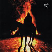 Miszel - CZARNY KOŃ