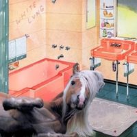 White Lung - Songs About The South