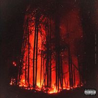 Blake Timber - Too hot