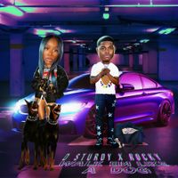D STURDY - Walk em Like a Dog