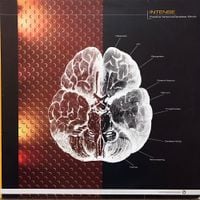 Intense - Positive Notions / Careless Minds