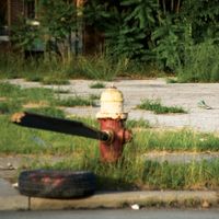 Akron/Family - Everyone Is Guilty / Total Destruction