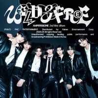 AMPERS&ONE - WILD & FREE