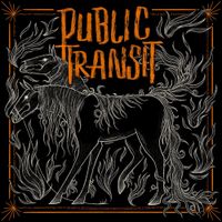 Public Transit - Public Transit