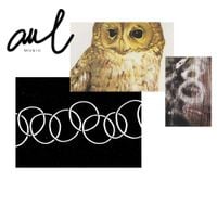 Aul - Die Vierte Zehe