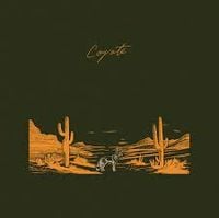 Mt. Joy - Coyote