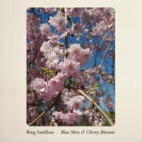 Bing Satellites - Blue Skies & Cherry Blossom