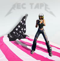recvstheworld - REC TAPE