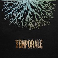 Gazebo Penguins - Temporale