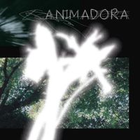 Animadora - Sobre Lo Visible