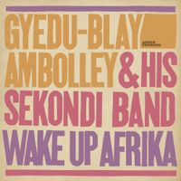 Gyedu-Blay Ambolley - Wake Up Afrika
