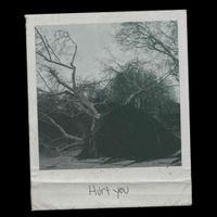 VOWWS - Hurt You