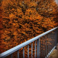 Cobby & Litten - Boothferry