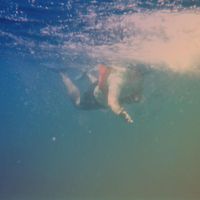 Barahater - Dive
