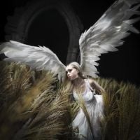 Erin LeCount - I Am Digital, I Am Divine