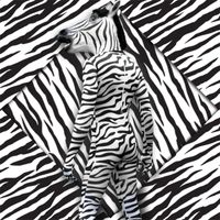 RMF - Zebra Man