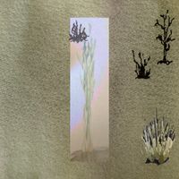 Casino Hearts - A Walk in the Grass