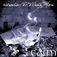 Calm - Ascending To Twenty Five