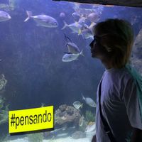 chard la plaga - #pensando