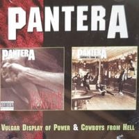 Pantera - Vulgar Display of Power & Cowboys From Hell