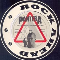 Pantera - Fucking Hostile
