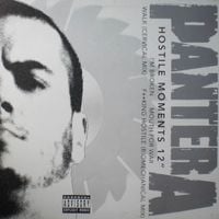 Pantera - Hostile Moments 12"