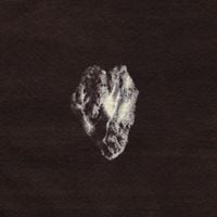 Winne - Mssyeh