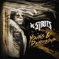 The Struts - YOUNG&DANGEROUS