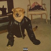 RoseMech - Leather