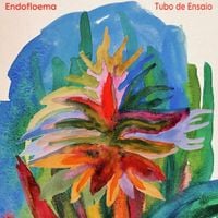 Tubo De Ensaio - Endofloema