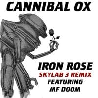 Cannibal Ox - Iron Rose (Skylab 3 Remix)