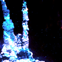 Leaper Tech - asgard archaea (including bonus track "pester")