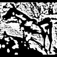 Little Lambs - A Collaborative Effort To Recover The Horse's Leg (A Little Lambs Album)