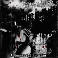 Katywentmissing - A Heartfelt Promise