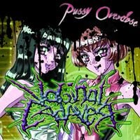 Vaginal Cadaver - Pussy Overdose