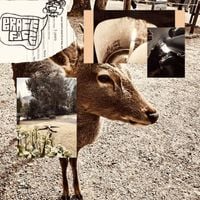 BRACE/FACE - TAKE IT TO YOUR GRAVE
