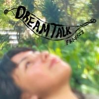FRANKI3 - DREAM TALK