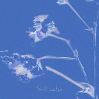 Desire Haze - Still Water