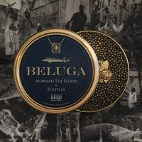Nowaah The Flood - Beluga