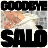 Brutalismus 3000 - GOODBYE SAL&Ograve; THE REMIXES
