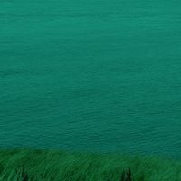 Silver Dove - Shelter