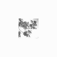 All That Heaven Allows - H&ocirc;tel du Nord