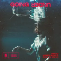 biskuwi - Going Under