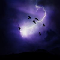 Ailes De Foudre - L'&OElig;il de la temp&ecirc;te