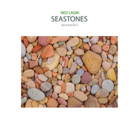 Ned Lagin - Seastones | Set 4 and Set 5