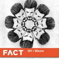 Bloom - FACT 391