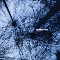 Joe McDuphrey - Experience EP
