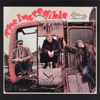 The Incredible String Band - The Incredible String Band