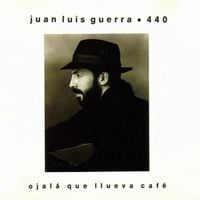 Juan Luis Guerra 4.40 - Ojal&aacute; Que Llueva Caf&eacute;